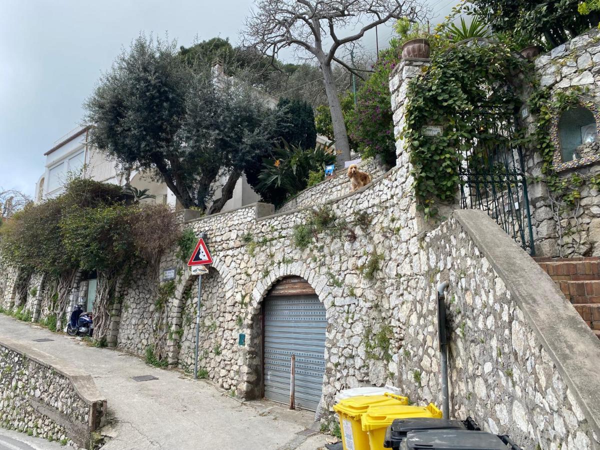 Regina Di Capri - Suite Vista Faraglioni Luaran gambar