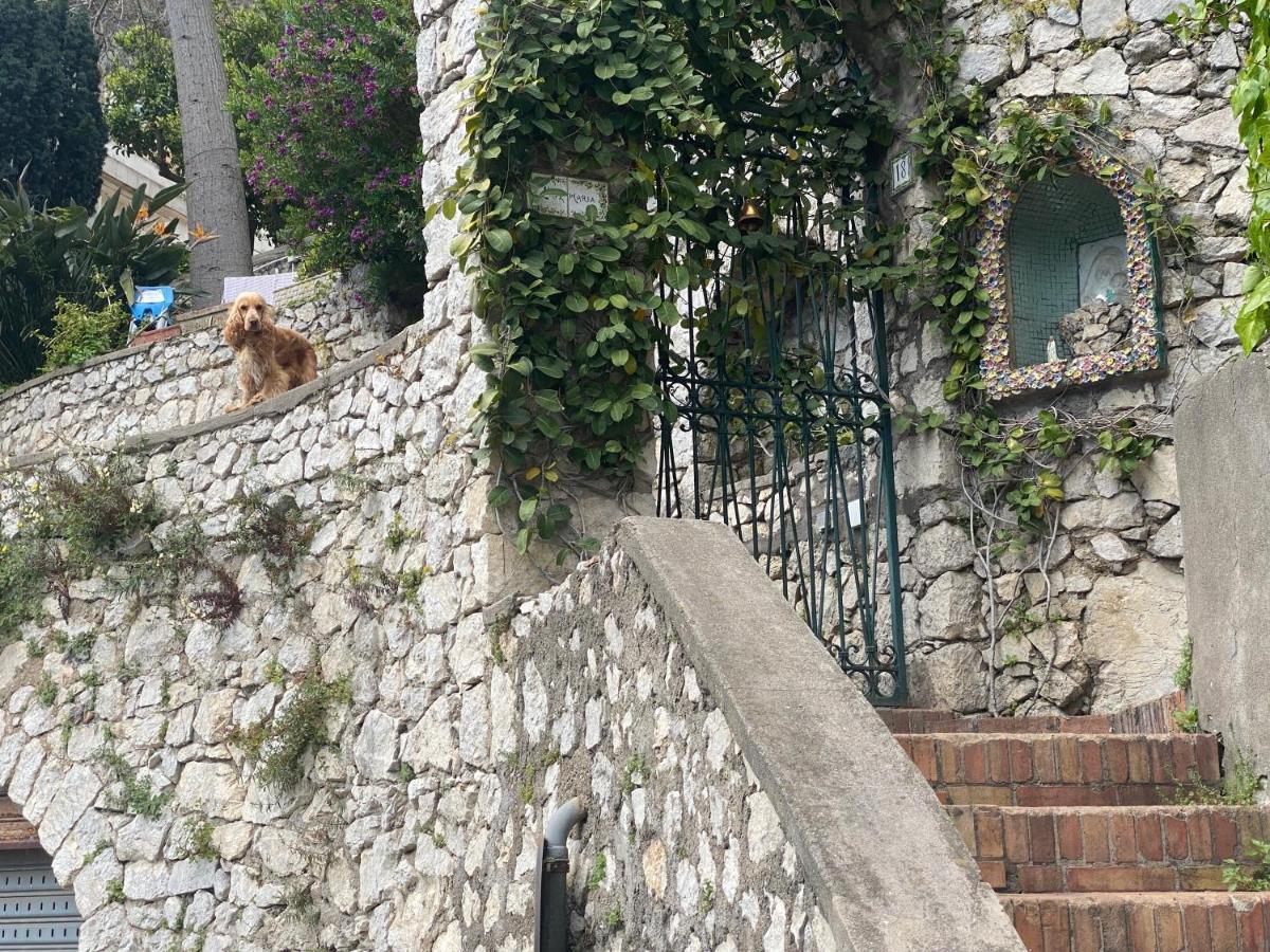Regina Di Capri - Suite Vista Faraglioni Luaran gambar